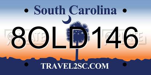 8OLD146 South Carolina License Plate