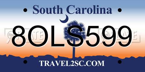 8OLS599 South Carolina License Plate