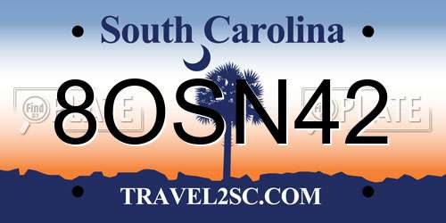 8OSN42 South Carolina License Plate