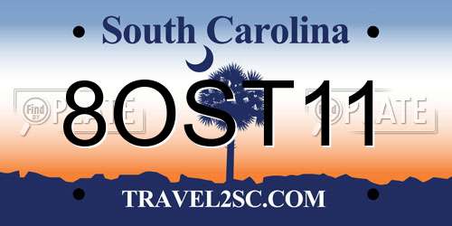 8OST11 South Carolina License Plate