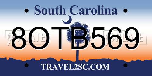 8OTB569 South Carolina License Plate