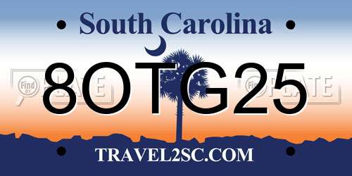 8OTG25 South Carolina License Plate