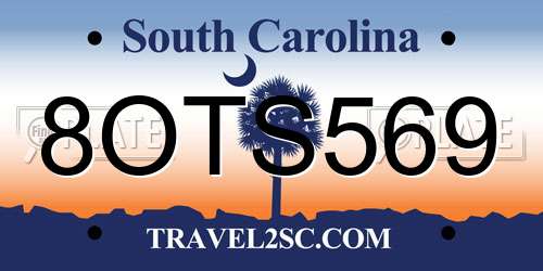 8OTS569 South Carolina License Plate