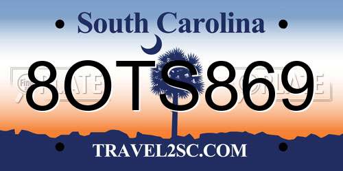 8OTS869 South Carolina License Plate