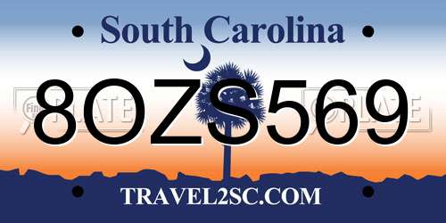8OZS569 South Carolina License Plate