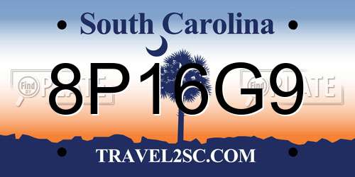 8P16G9 South Carolina License Plate