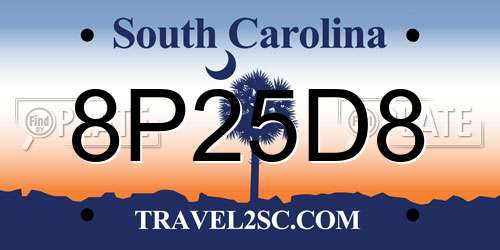 8P25D8 South Carolina License Plate