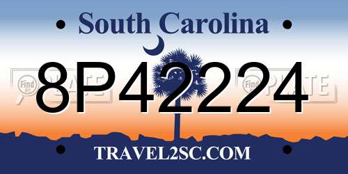 8P42224 South Carolina License Plate