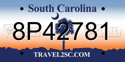8P42781 South Carolina License Plate