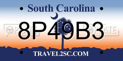 8P49B3 South Carolina License Plate