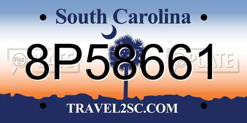 8P58661 South Carolina License Plate