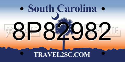 8P82982 South Carolina License Plate