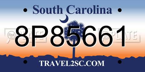 8P85661 South Carolina License Plate