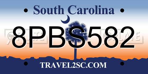 8PBS582 South Carolina License Plate