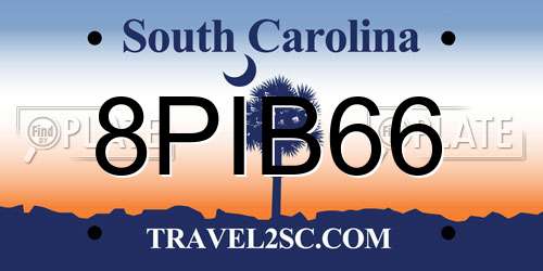 8PIB66 South Carolina License Plate
