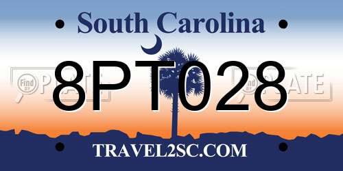 8PT028 South Carolina License Plate