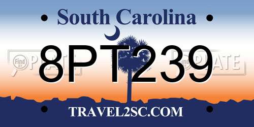 8PT239 South Carolina License Plate