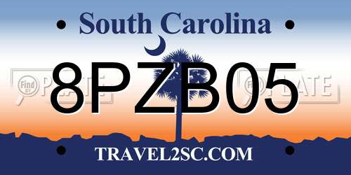 8PZB05 South Carolina License Plate