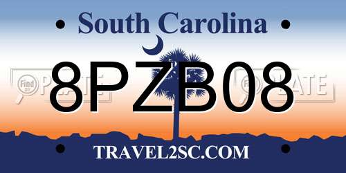 8PZB08 South Carolina License Plate
