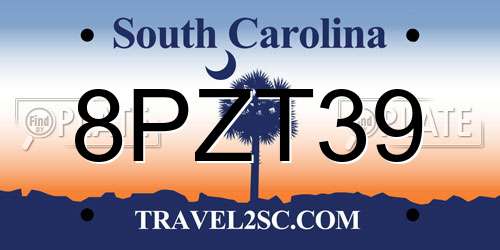 8PZT39 South Carolina License Plate