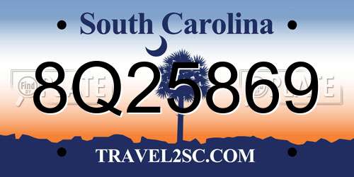 8Q25869 South Carolina License Plate