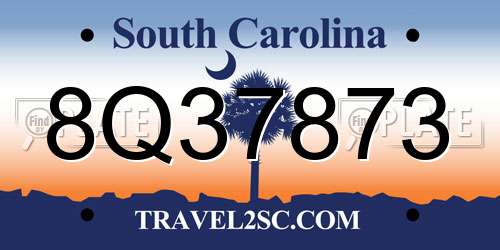 8Q37873 South Carolina License Plate