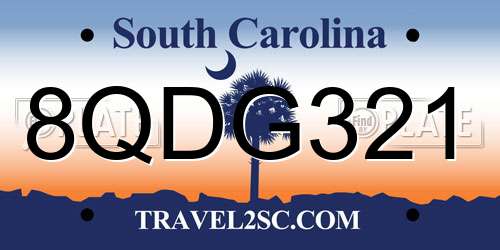 8QDG321 South Carolina License Plate