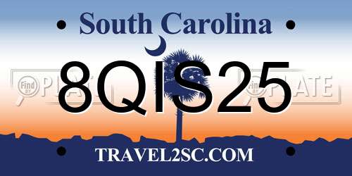 8QIS25 South Carolina License Plate