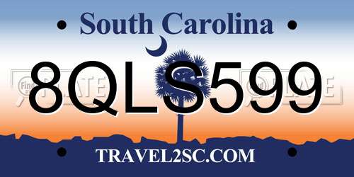 8QLS599 South Carolina License Plate