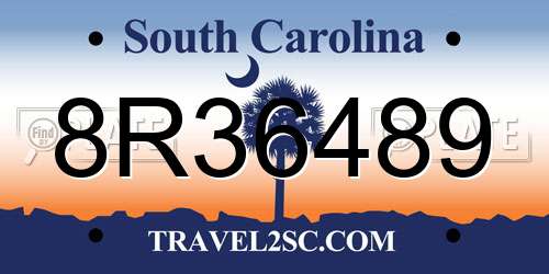 8R36489 South Carolina License Plate
