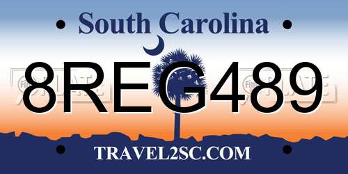 8REG489 South Carolina License Plate