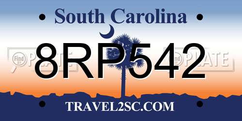 8RP542 South Carolina License Plate