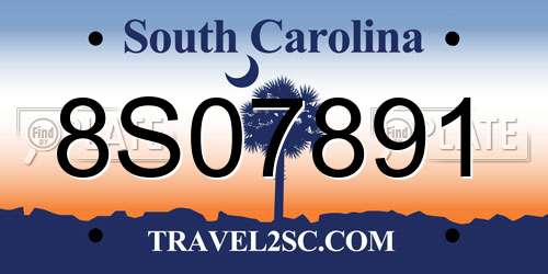 8S07891 South Carolina License Plate