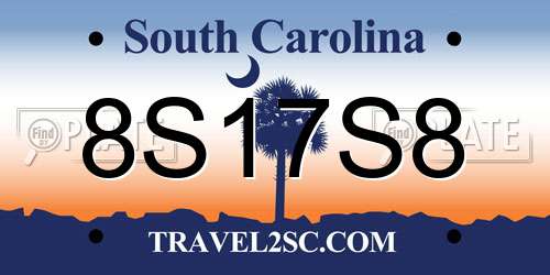 8S17S8 South Carolina License Plate