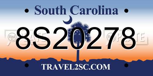 8S20278 South Carolina License Plate