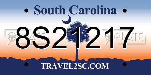 8S21217 South Carolina License Plate