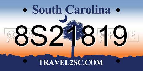 8S21819 South Carolina License Plate