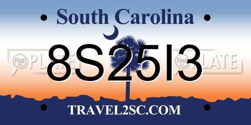 8S25I3 South Carolina License Plate