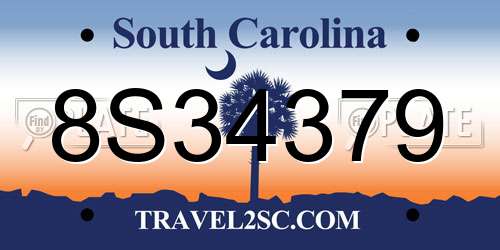 8S34379 South Carolina License Plate