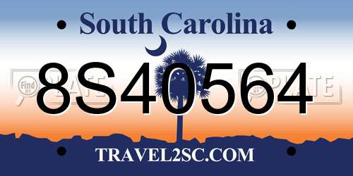 8S40564 South Carolina License Plate