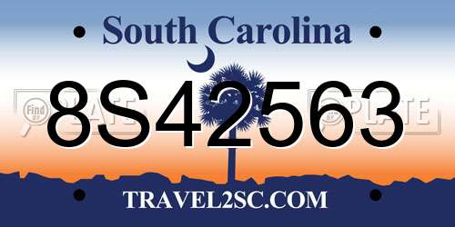 8S42563 South Carolina License Plate