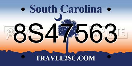 8S47563 South Carolina License Plate