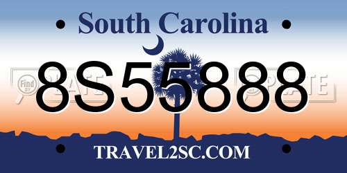 8S55888 South Carolina License Plate