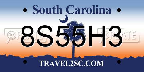 8S55H3 South Carolina License Plate
