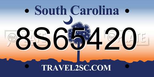 8S65420 South Carolina License Plate
