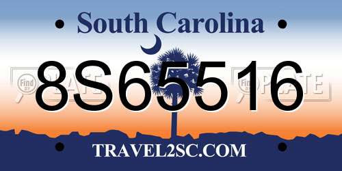 8S65516 South Carolina License Plate