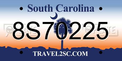 8S70225 South Carolina License Plate