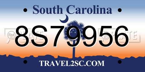 8S79956 South Carolina License Plate