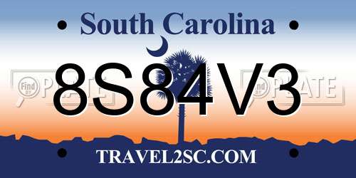 8S84V3 South Carolina License Plate