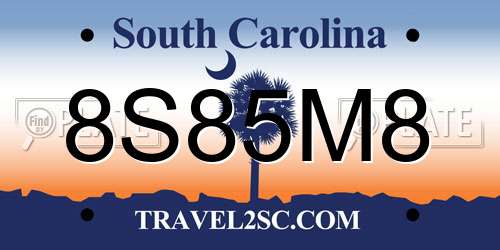 8S85M8 South Carolina License Plate